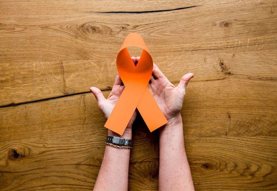 Paula Bidle-Stear placeholder