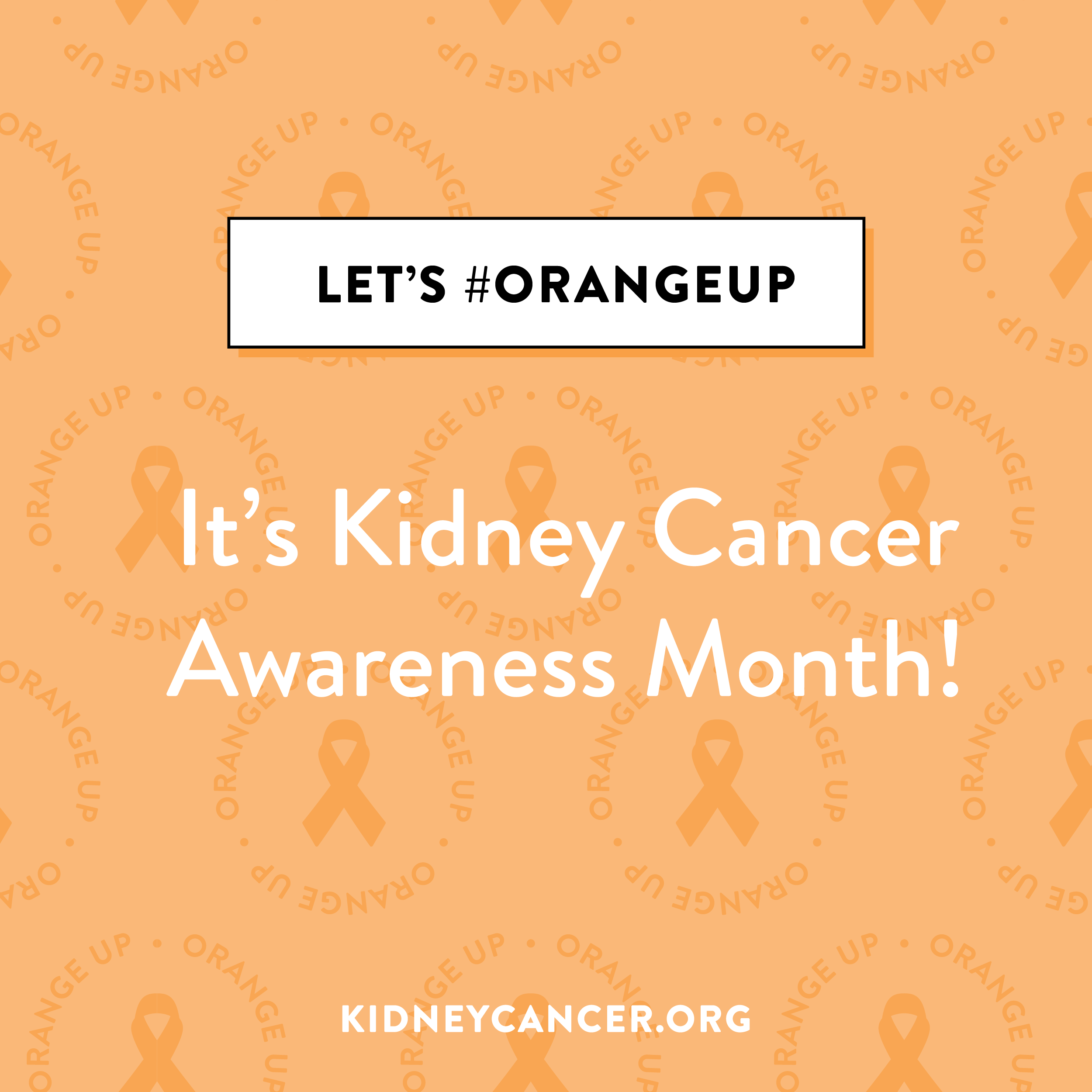 Kidney Cancer Awareness Month Kidney Cancer Association